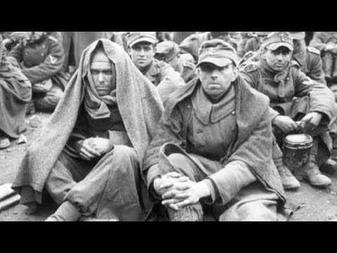 German POWs General Were Ready for Execution—Until They Saw How the U.S Treated Them