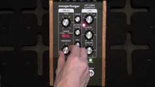 Video thumbnail for Moog Moogerfooger MF-108M Cluster Flux Review - BestGuitarEffects.com by Best Guitar Effects
