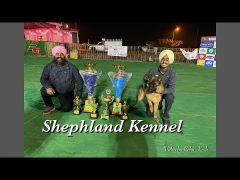 Shephland kennel