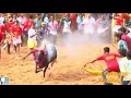 Kombu Vacha Singamda   Official Lyric Video    G V Prakash Kumar, jellikattu vedios and songs