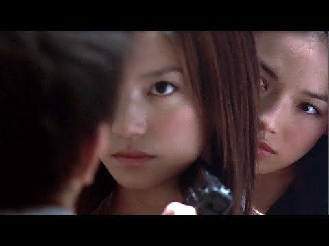 Sexy Fight Scene | Zhao Wei, Karen Mok, Shu Qi | Great female martial arts action.
