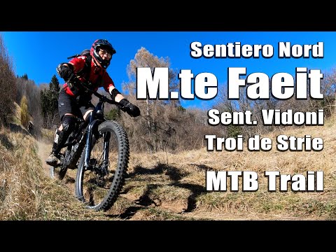 Monte Faeit MTB Trail - Sentiero Nord M.te Faeit, Vidoni Trail, Troi de Strie