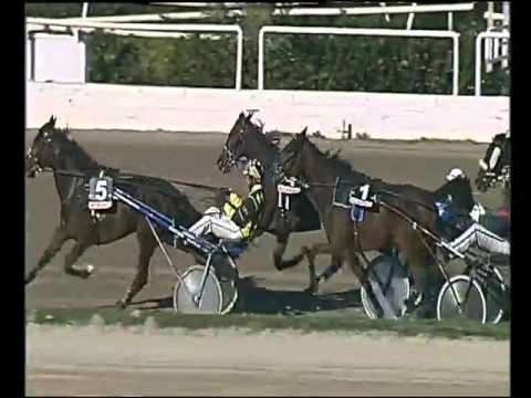 Trotto 08/11/2015 - 2° corsa