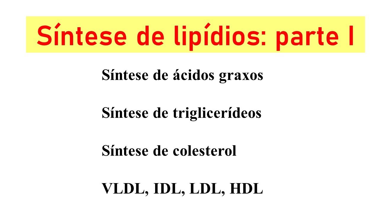 Síntese de lipídios: ácidos graxos, triglicerídeos, colesterol
