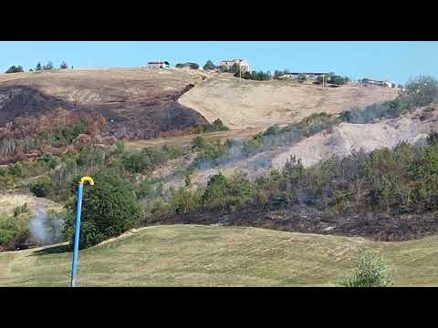 Certa Stampa - VIDEO-FOTO/ NUOVO INCENDIO A CARAPOLLO (ZONA VASCONI), L
