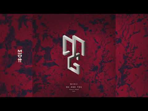 NIIXII - Me And You (DSF Remix)