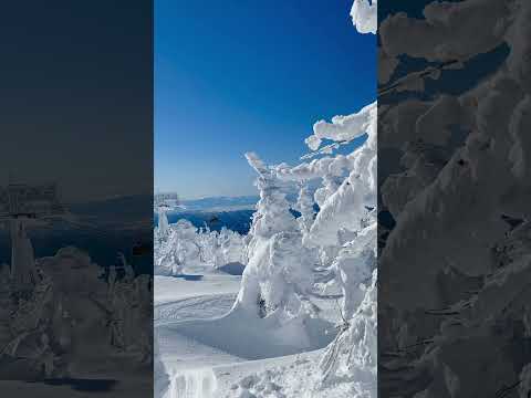 A day in the mountains of North Japan | Zao Onsen Ski Resort, Yamagata