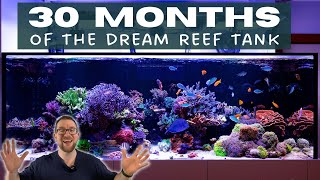 Overview and 30 month update on the Dream Reef Tank
