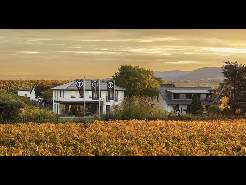 2. Online Weinprobe mit Tina Pfaffmann