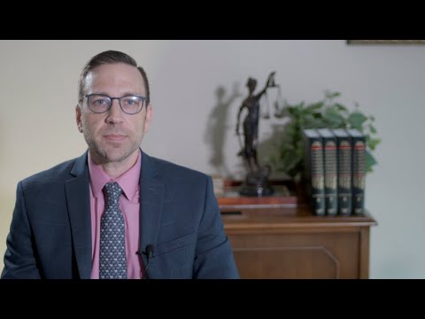 gallery video image