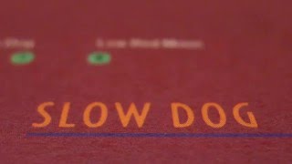 Belly – Slow Dog (Demo)