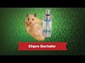 Ehpro Bachelor- обслуживаемый бакомайзер - превью 7MkFFmJJZ1w