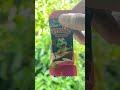 Cadbury Dairy Milk Freddo Strawberry Shorts