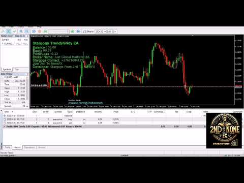 Video Stargogs TrendyGridy EA