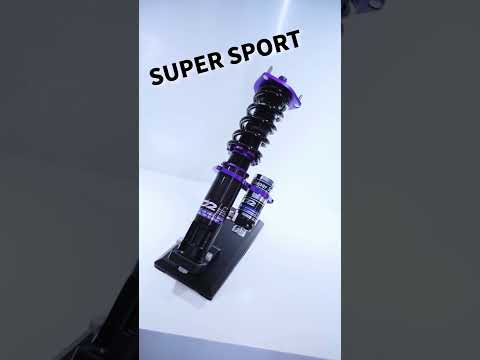 D2 Coilovers with more than series....