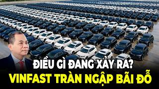 Xe Vinfast Xuất Hiện Tại Nhiều Bãi Đỗ Gây Chú Ý Cộng Đồng Mạng 
