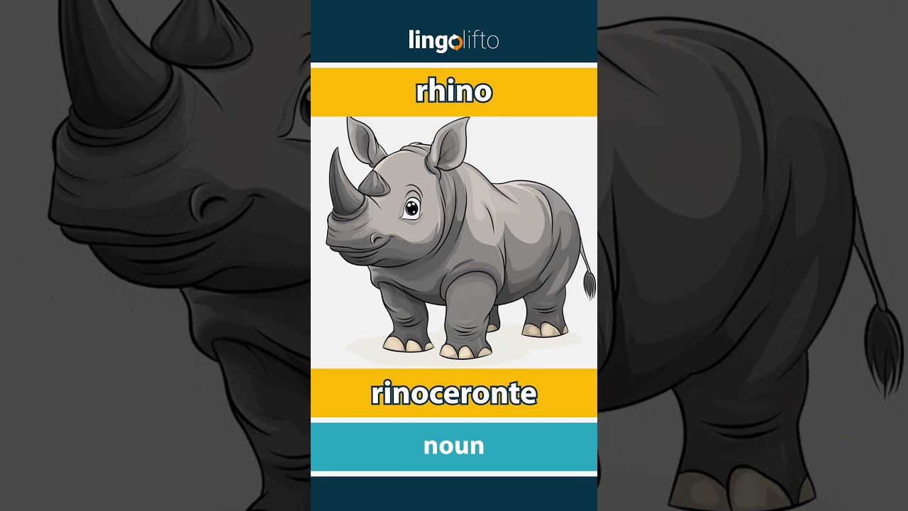 🇬🇧🇵🇹 rhino - rinoceronte : vocabulary builder : learn English : vamos aprender inglês