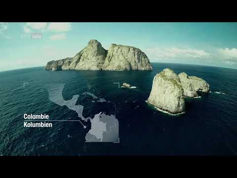 ZDF Doku - Big Pacific 2/4 - Der geheimnisvolle Ozean