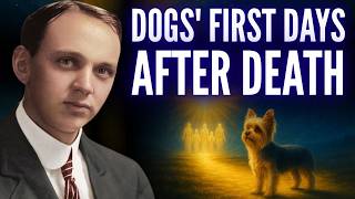 Edgar Cayce Revealed What Happens To The Soul Of Dogs In The First Days After Death
