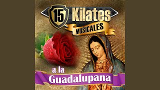 Adios Reyna Del Cielo