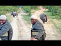 Ranger Regrets Laughing At Rhino When It Charges Him