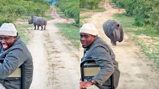 Un garde forestier regrette de s'être moqué d'un rhinocéros qui le chargeait