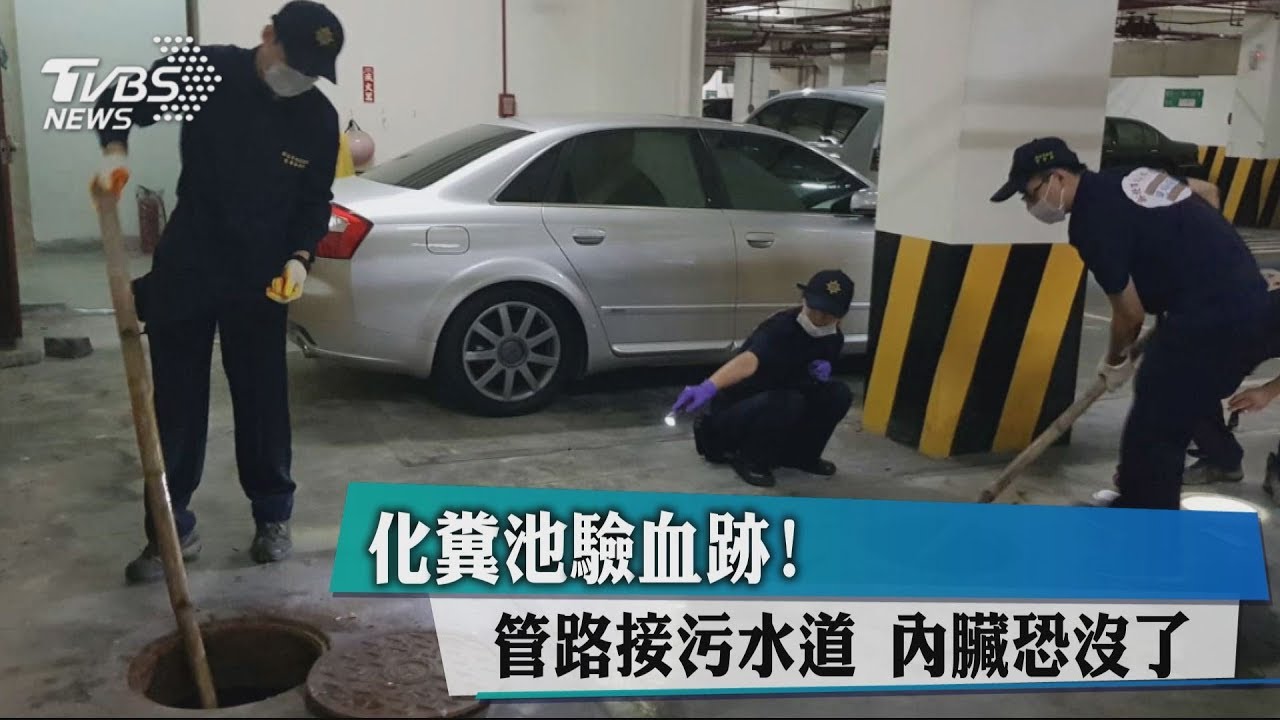 化糞池驗血跡!管路接污水道 內臟恐沒了