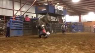 1364 COWBOY CHROME 1-1-17