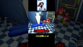 天才的な隠れ方に相手も納得....【めっちゃカメレオン】