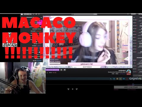 DILERA E JESS MACACO MACACO MACACO MONKEY MONKEY MONKEY