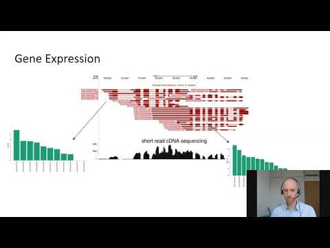 Studying Promoter and Isoform Diversity with Long Read Transcriptome Sequencing