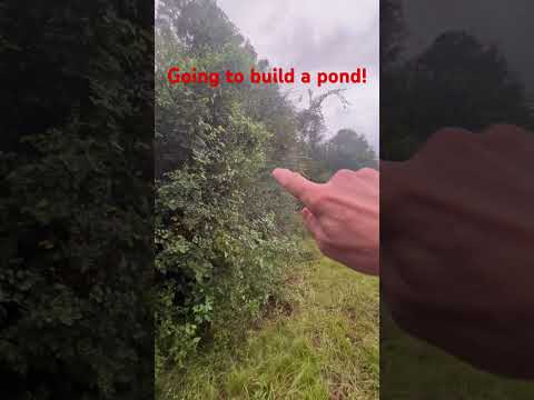 Rugged Ranch Chicken Feeder install