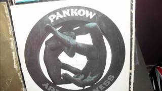 PANKOW-ART AND MADNESS