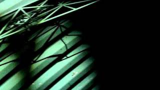 Millencolin   Random I Am