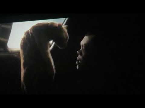 Spoilers of war: How nick Fury lost his eye in the movies actual clip