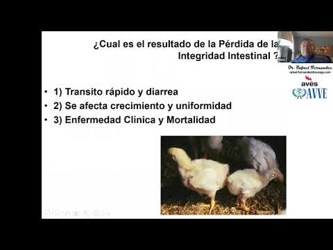 , title : 'Enfermedades mas comunes que afectan el tracto digestivo de las aves. Dr Rafael Fernandez'