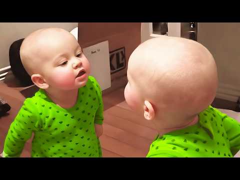 Babies vs  Big Siblings: Funniest Moments Of The Week - Cute Baby Videos || COOL PEACHY🍑