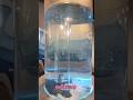 Underwater Tornado Science Tornado Water Tornado Science