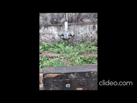 Cemitério do Tremembé (São Paulo, capital- Zona Norte)