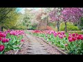Dan Henig Eternal Garden