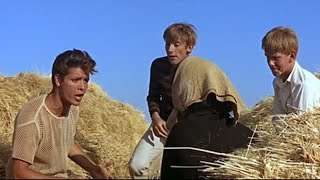 Cliff Richard - Dancing Shoes (1963) - HD