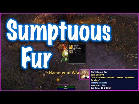 Jessiehealz - Sumptuous Fur Guide (World of Warcraft)