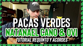 PACAS VERDES - Natanael Cano feat Ovi - Tutorial -
