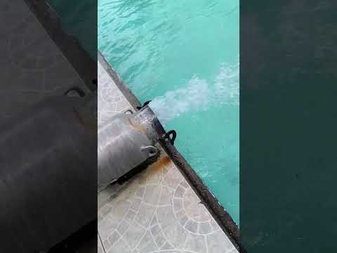Isla del Cacao Loreto-Orellana-Ecuador.