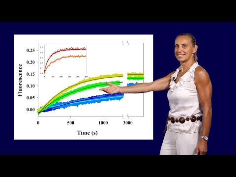 Dorothee Kern (Brandeis, HHMI) 2: Using Evolution to Reveal a Cancer Drug’s Mechanism