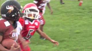 GRANDPARK VIKINGS VS LAKESHORE M.M 2015