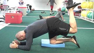 Quadruped Hip Extension on Elbows