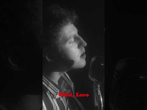 "Wild, Love" - Jonathan Plevyak (Official Visualizer)