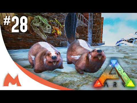 ARK: Survival Evolved - BEAVER/CASTOROIDES TWINS! BREEDING & 100% IMPRINTING! (S2E28)