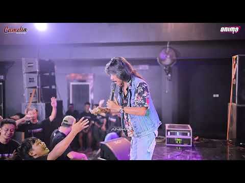 CAMELIA - NGATEMI LUKITO - BOLO DANGDUT 2026